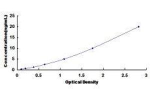 Cysteine-Rich with EGF-Like Domains 1 (CRELD1) ELISA Kit
