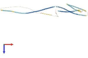 AlphaFold protein structure predicition of Human Recombinant CKAP4 Protein, UniprotID Q07065