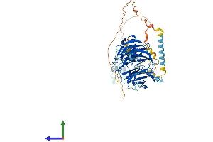 AlphaFold protein structure predicition of Human Recombinant UTP18 Protein, UniprotID Q9Y5J1