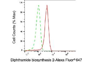 Flow cytometric analysis of Diphthamide biosynthesis 2 expression in HepG2 cells using Diphthamide biosynthesis 2 antibody (ABIN7798349), 1:1,000). (DPH2 anticorps)