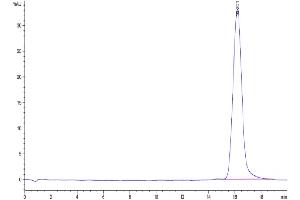 The purity of Biotinylated Human B7-H3 is greater than 95 % as determined by SEC-HPLC.