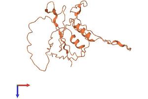AlphaFold protein structure predicition of Human Recombinant ZNF365 Protein, UniprotID Q70YC4