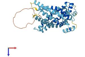 AlphaFold protein structure predicition of Mouse Recombinant Slc25a37 Protein, UniprotID Q920G8