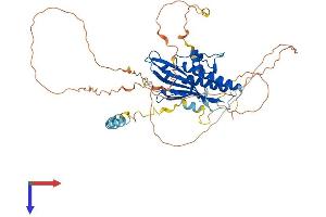 AlphaFold protein structure predicition of Human Recombinant ATG13 Protein, UniprotID O75143