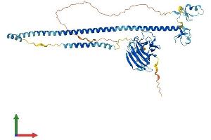 AlphaFold protein structure predicition of Human Recombinant TRIM16 Protein, UniprotID O95361