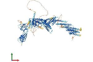 AlphaFold protein structure predicition of Mouse Recombinant Cadps Protein, UniprotID Q80TJ1