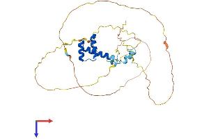 AlphaFold protein structure predicition of Human Recombinant EN2 Protein, UniprotID P19622