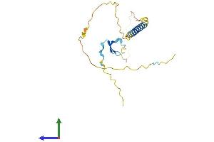 AlphaFold protein structure predicition of Human Recombinant TNFRSF13C Protein, UniprotID Q96RJ3