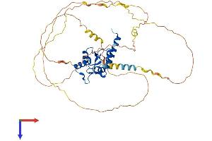 AlphaFold protein structure predicition of Mouse Recombinant Smap1 Protein, UniprotID Q91VZ6