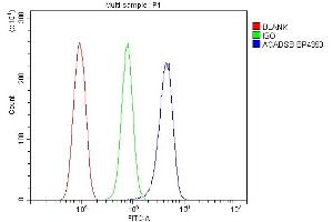 Flow Cytometry analysis of RH-35 cells using anti-SBCAD/ACADSB antibody (ABIN7602837). (ACADSB anticorps  (C-Term))