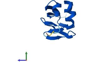 AlphaFold protein structure predicition of Mouse Recombinant Mocs2 Protein, UniprotID Q9Z224
