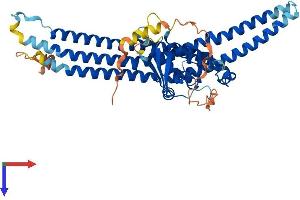 AlphaFold protein structure predicition of Human Recombinant SNX8 Protein, UniprotID Q9Y5X2