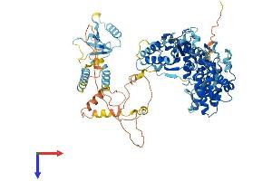 AlphaFold protein structure predicition of Human Recombinant AFG3L2 Protein, UniprotID Q9Y4W6