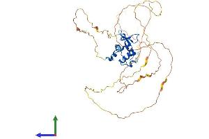 AlphaFold protein structure predicition of Mouse Recombinant Elk1 Protein, UniprotID P41969