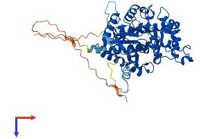 AlphaFold protein structure predicition of Mouse Recombinant Accs Protein, UniprotID A2AIG8