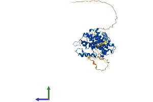 AlphaFold protein structure predicition of Mouse Recombinant Ccne1 Protein, UniprotID Q61457