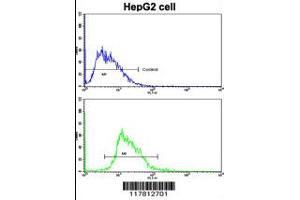 Flow cytometric analysis of HepG2 cells using ESR2 Antibody (bottom histogram) compared to a negative control cell (top histogram). (ESR2 anticorps  (AA 369-397))