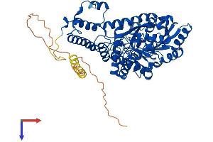 AlphaFold protein structure predicition of Mouse Recombinant Gad2 Protein, UniprotID P48320