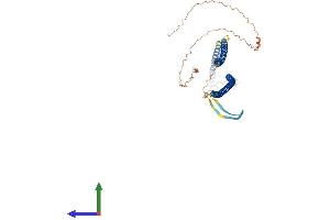 AlphaFold protein structure predicition of Mouse Recombinant Krt24 Protein, UniprotID A1L317