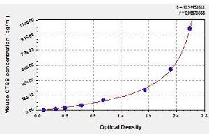 Typical standard curve (Cathepsin B Kit ELISA)
