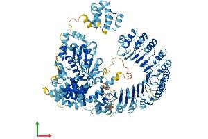 AlphaFold protein structure predicition of Mouse Recombinant Nlrc4 Protein, UniprotID Q3UP24