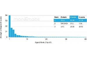 Analysis of Protein Array containing >19,000 full-length human proteins using CD10 Mouse Monoclonal Antibody (MME/2590).