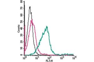 Cell surface detection of TRPM2 by direct flow cytometry in live intact mouse  microglia cells: + Rabbit IgG isotype control-FITC.