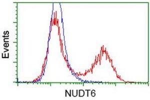 HEK293T cells transfected with either RC203470 overexpress plasmid (Red) or empty vector control plasmid (Blue) were immunostained by anti-NUDT6 antibody (ABIN2454221), and then analyzed by flow cytometry. (NUDT6 anticorps)