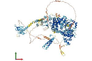 AlphaFold protein structure predicition of Human Recombinant DHX29 Protein, UniprotID Q7Z478