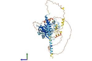 AlphaFold protein structure predicition of Mouse Recombinant Riok2 Protein, UniprotID Q9CQS5