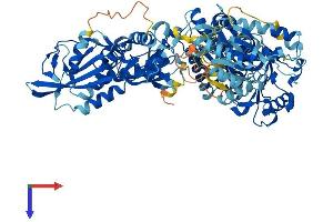 AlphaFold protein structure predicition of Mouse Recombinant Slfn5 Protein, UniprotID Q8CBA2
