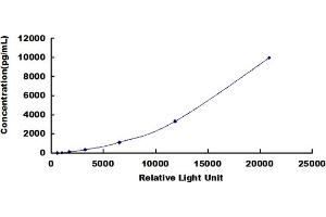 ELISA image for Chemokine (C-C Motif) Ligand 5 (CCL5) CLIA Kit (ABIN491818)