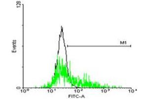FACS analysis of negative control 293 cells (Black) and GPR143 expressing 293 cells (Green) using GPR143 purified MaxPab mouse polyclonal antibody. (GPR143 anticorps  (AA 1-424))