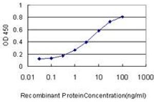 Detection limit for recombinant GST tagged NOTCH3 is approximately 0.