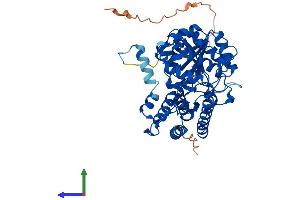 AlphaFold protein structure predicition of Mouse Recombinant Accs Protein, UniprotID A2AIG8