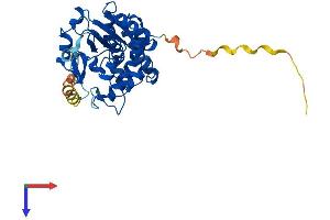 AlphaFold protein structure predicition of Mouse Recombinant Sult2b1 Protein, UniprotID O35400