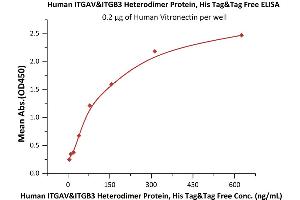 Immobilized Human Vitronectin at 2 μg/mL (100 μL/well) can bind Human ITGAV&ITGB3 Heterodimer Protein, His Tag&Tag Free (ABIN2870662,ABIN2870663) with a linear range of 10-156 ng/mL (Routinely tested). (CD51/CD61 Protein (AA 31-992) (His tag))