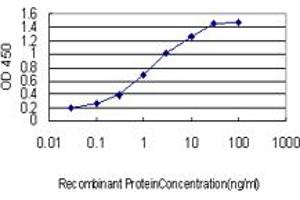 Detection limit for recombinant GST tagged IL23R is approximately 0. (IL23R anticorps  (AA 553-628))