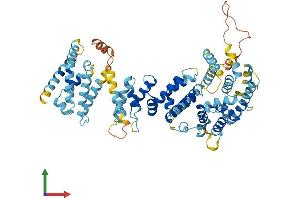AlphaFold protein structure predicition of Mouse Recombinant Fancc Protein, UniprotID P50652