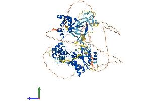 AlphaFold protein structure predicition of Human Recombinant ORC1 Protein, UniprotID Q13415