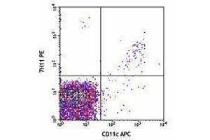 Flow Cytometry (FACS) image for anti-C-Type Lectin Domain Family 9, Member A (CLEC9A) antibody (PE) (ABIN2662625) (CLEC9A anticorps  (PE))