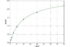A typical standard curve (O3FAR1 Kit ELISA)