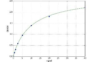 omega-3 Fatty Acid Receptor 1 (O3FAR1) ELISA Kit