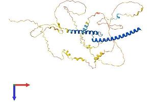 AlphaFold protein structure predicition of Human Recombinant MYCN Protein, UniprotID P04198