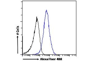 (ABIN185267) Flow cytometric analysis of paraformaldehyde fixed HepG2 cells (blue line), permeabilized with 0.