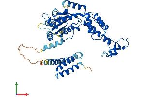 AlphaFold protein structure predicition of Human Recombinant VPS4A Protein, UniprotID Q9UN37