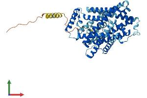 AlphaFold protein structure predicition of Human Recombinant SLC7A5 Protein, UniprotID Q01650
