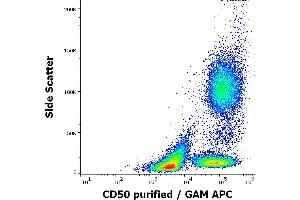 Flow cytometry surface staining pattern of human peripheral whole blood stained using anti-human CD50 (MEM-04) purified antibody (concentration in sample 3 μg/mL, GAM APC). (ICAM-3/CD50 anticorps)