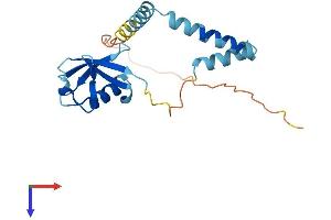 AlphaFold protein structure predicition of Mouse Recombinant Ubl4b Protein, UniprotID Q9CQ84