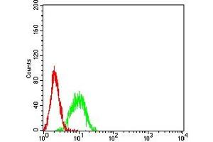 Flow cytometric analysis of K562 cells using BTN1A1 mouse mAb (green) and negative control (red).